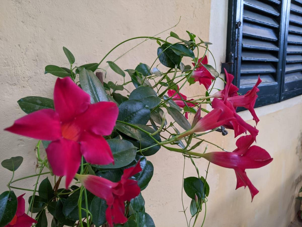 B&B Casa Marconi Piza Zewnętrze zdjęcie