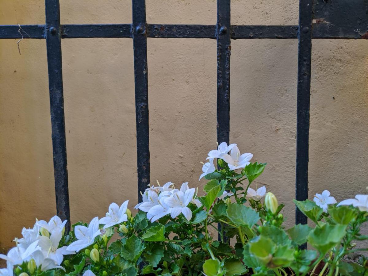 B&B Casa Marconi Piza Zewnętrze zdjęcie